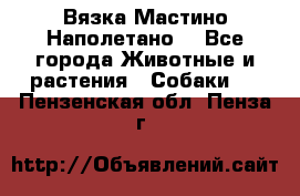 Вязка Мастино Наполетано  - Все города Животные и растения » Собаки   . Пензенская обл.,Пенза г.